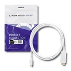 Qoltec Kabel USB 3.1 typ C męski/ HDMI A męski | 4K | Alternate mode | 2m (2)