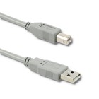 Qoltec Kabel USB 2.0 A męski | B męski | 5m (1)